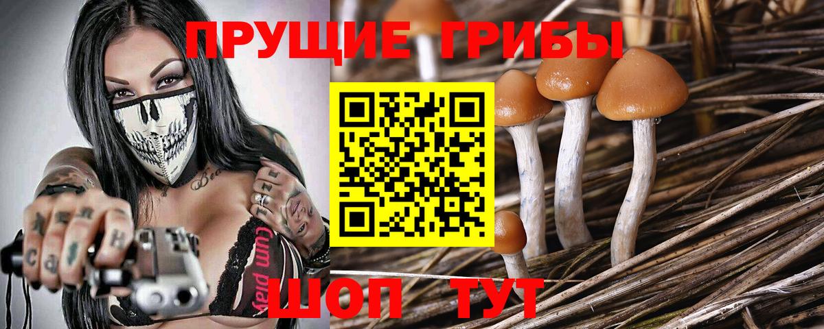 Галлюциногенные грибы MAGIC MUSHROOMS  Вход с VPN  Галлюциногенные грибы GOLDEN TEACHER  Обь 