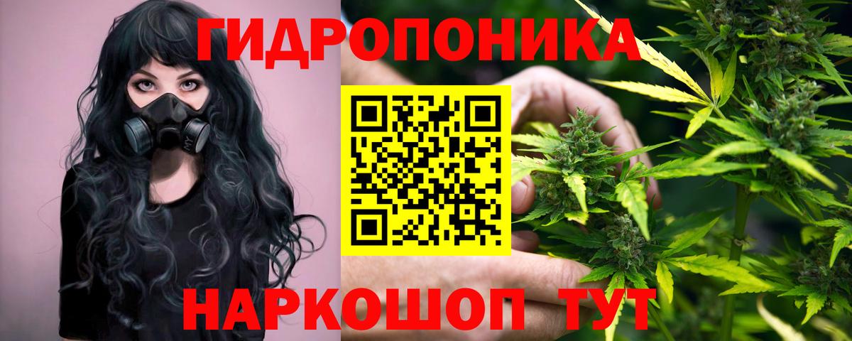 Обь  Бошки Шишки MAZAR  Каннабис Amnesia  Вход с VPN 